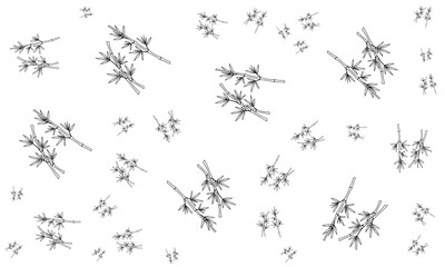 Minimalist Bamboo Branch Pattern - Simple and Elegant Nature Design