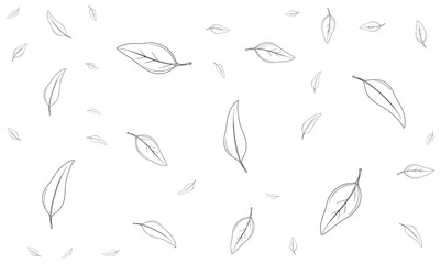 Falling Autumn Leaves Line Art Background Illustration