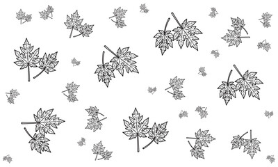 Autumnal botanical patterns intricate maple leaf illustrations in a repeating design