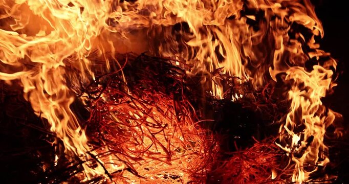Fire burns brightly on pile of thin twigs and dry grass at night. Orange flame shapes appear giving warmth and light at camp bonfire slow motion