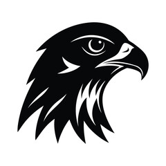 Hawk Head Vector Illustration