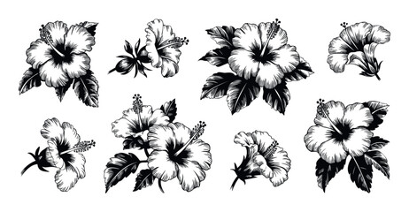 Collection of detailed handdrawn hibiscus flowers and leaves in black and white for tropical themed graphic projects and floral embellishments.