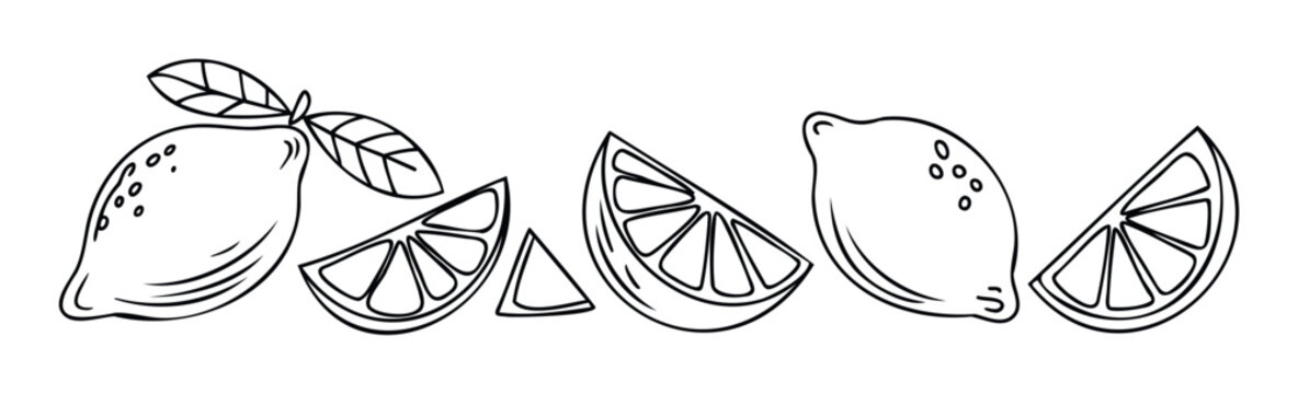 Hand drawn black and white line art of lemons and lemon slices for a refreshing citrus theme, perfect for food packaging, summer drinks, and culinary graphics.