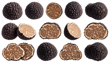 A collection of black, textured fungi, some whole and some sliced to reveal interiors