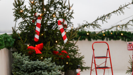 Christmas tree decorated with candy canes and red bow, outdoor setting with lights
