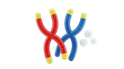 3D Chromosomes Illustration on White Background