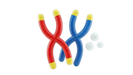 3D Chromosomes Illustration on White Background