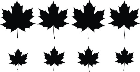 Maple leaf silhouette collection set, black autumn foliage shapes, natural botanical icons, seasonal leaf designs isolated on white background