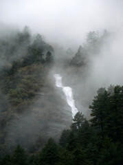 Water descends from a height in a waterfall surrounded by tall trees in a dense fog. The scene shows a mountainous area with mist covering the landscape