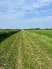 Slachtedyk around Achlum in Friesland