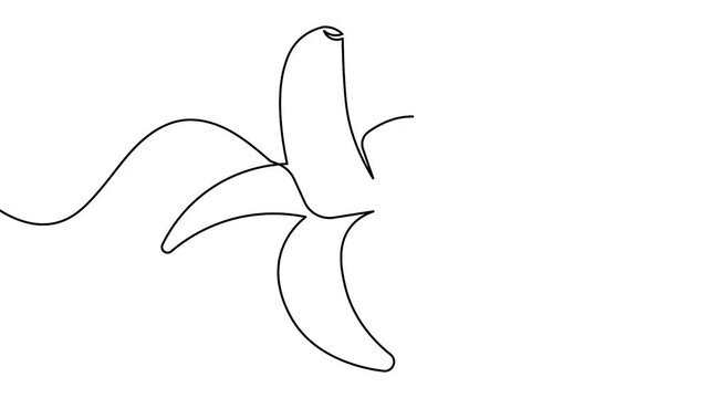 Minimalist banana continuous line drawing icon loop animation