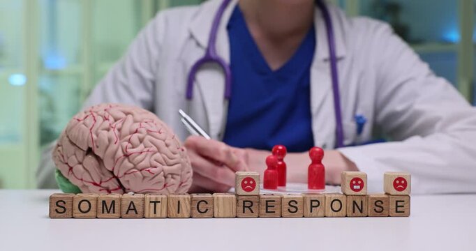 Doctor carefully writes detailed treatment plan for patient. Wooden blocks on desk form phrase Somatic Response by anatomical model of brain and pawns