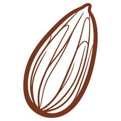 Illustrated almond shell outline simple design natural food element graphic