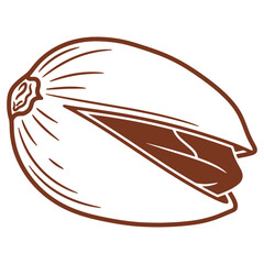 Illustrated coconut shell graphic tropical fruit design element natural food icon