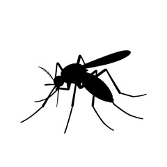 mosquito vector illustration 