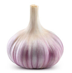 Fresh raw garlic heads isolated on transparent. Garlic heads with PNG
