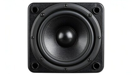 Front view of a black square loudspeaker with a centered round cone and frame screws