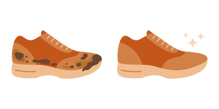 Dirty and clean sneaker side by side comparison. Before and after concept for shoe cleaning product. Footwear care. Vector illustration