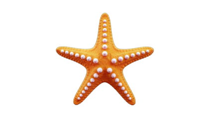 Orange Starfish Isolated on White Background