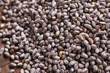 Close up macro view of pile of raw tiger striped peanut. This natural organic superfood ingredient full of healthy protein, creating textured food background