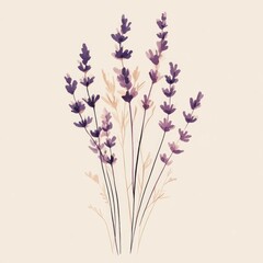 Naklejka premium Exquisite lavender bouquet composition with delicate hand drawn purple stems and soft muted violet and beige hues against a clean white background Minimalist