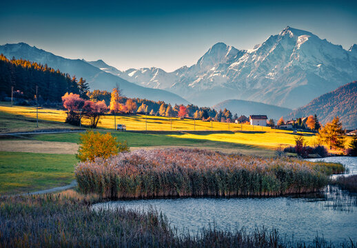 Marvelous autumn scene of Haidersee (Lago della Muta) lake with Ortler peak on background. Exciting morning view of Italian Alps, Italy, Europe. Beauty of countryside concept background.