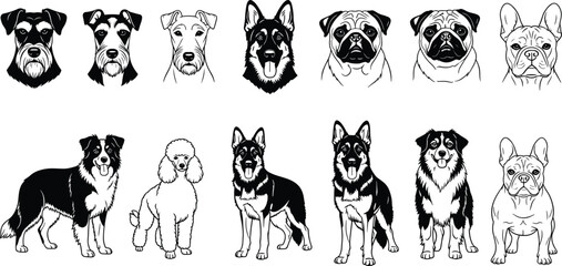 Fototapeta premium Diverse dog breeds vector collection, including Schnauzer, Pug, Shepherd, and French Bulldog, black and white illustrations for pet branding and logos.