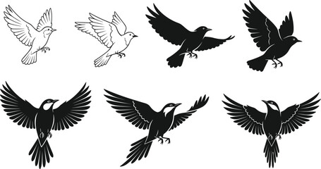 Set of bird outlines and black silhouettes in flight, featuring diverse wingspans and poses, symbolizing freedom, nature, and peace.