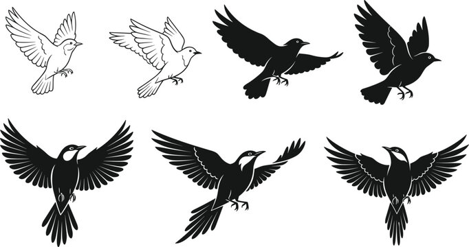 Set of bird outlines and black silhouettes in flight, featuring diverse wingspans and poses, symbolizing freedom, nature, and peace.