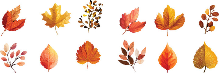 Obraz premium set of autumn leaves isolated on white