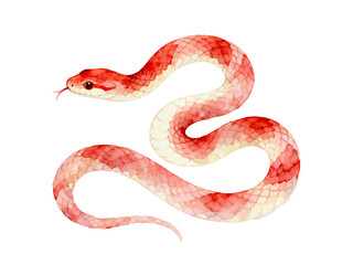 Crimson Serpent: A graceful and vibrant serpent with a striking crimson pattern glides, showcasing the beauty of the natural world and wildlife.