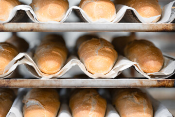 Close up view of   Freshly baked bagels on a metal rack in a bakery . Fresh baked goods background