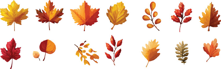 set of red and yellow autumn leaves