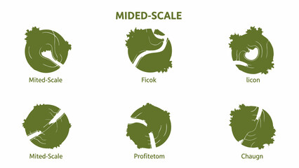 Set of green lettuce icons flat vector illustrations for healthy food and cooking concepts isolated 