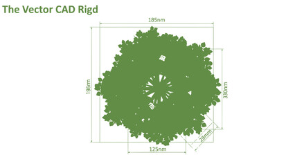 Top view vector CAD rigd of a green tree architectural illustration for landscape design and urban p