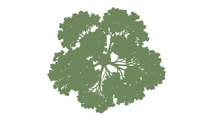 Top view of a green tree simple flat vector illustration for landscape design and architectural plan