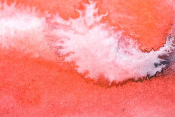 Acrylic Black and Red Ink Paint Splatters and Spots Blot on White for Background