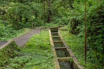 Concrete stepped water channel structure in lush green tropical rainforest jungle next to dirt hiking trail path
