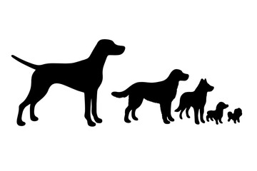 Domestic dog silhouettes comparison showing range from large to small breeds