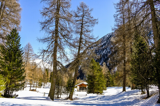 Bever, Val Bever, Winterwanderweg, Winterlandschaft, Wintersport, Holzbank, Oberengadin, Beverin, Fluss, Langlauf, Langlaufloipe, Alpen, Arvenwald, Winter, Graub&uuml;nden, Schweiz