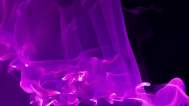 Vibrant purple smoke swirling elegantly against a dark background, creating an abstract and mystical atmosphere.