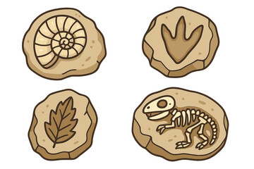 Collection of prehistoric fossils including ammonite, dinosaur skeleton, footprint, and ancient leaf