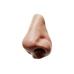 Human Nose with Transparent Background