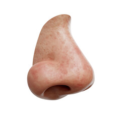 Side view of a human nose with Transparent Background