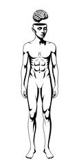 A black and white illustration of the human body, a slender figure with an open skull and a brain floating above. Conceptual representation of thinking, intelligence, or mental health.