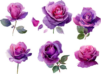 Fototapeta premium bouquet of roses