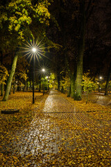 Paved pathway illuminated by streetlights in autumn park at dusk, surrounded by trees with colorful fallen leaves. Serene evening outdoor scene for calm mood.