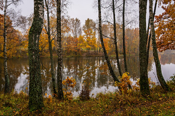 Autumn landscape with colorful trees reflected in water. Seasonal fall scenery with yellow and...