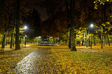Empty park alley at night with fallen golden leaf and glowing street light. Autumn landscape with warm illumination for seasonal background.