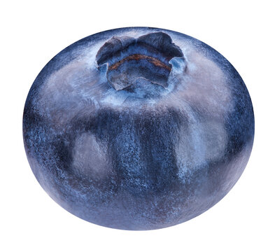 Blueberry berry isolated on transparent background with PNG.